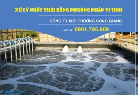 Chi tiết về phương pháp dùng vi sinh xử lý nước thải