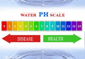 Cách đo và xác định độ pH an toàn trong nước