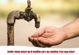 Tác hại khi nguồn nước sinh hoạt bị ô nhiễm