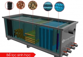 Cấu tạo của bể lọc sinh học và một số loại phổ biến