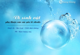 Các yếu tố tác động đến vi sinh vật trong nước thải