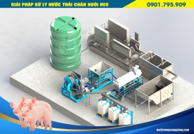 Xử lý nước thải chăn nuôi heo